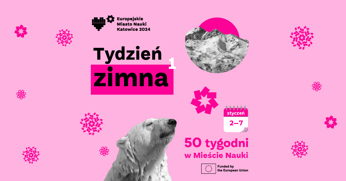Tydzień zimna 2- 7 stycznia 2024 roku