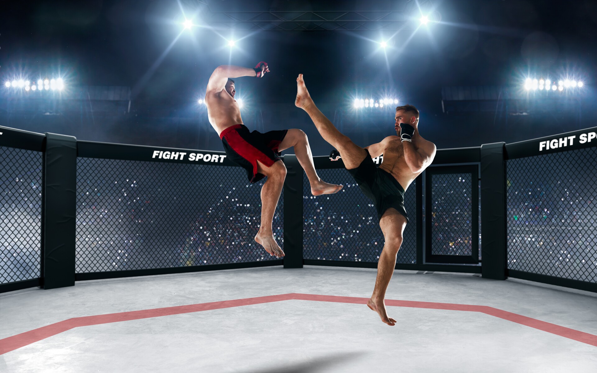 Dwóch mężczyzn walczących w formule mma w oktagonie 