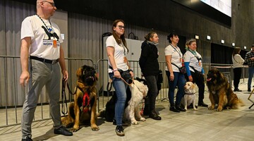 ratownicy WOPR Katowice z pasmi ratowniczymi 